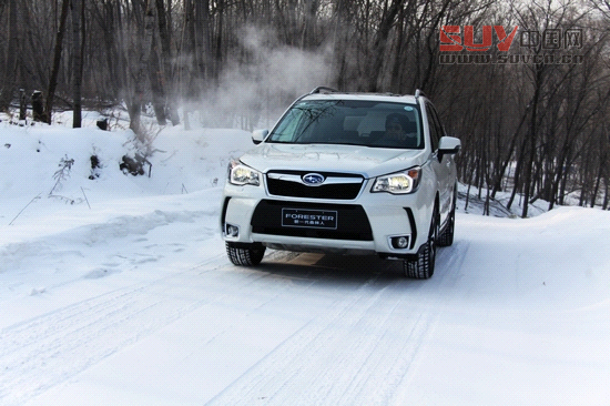 &ldquo;雪之雄獅&rdquo;全新斯巴魯森林人冰雪試駕