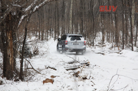 &ldquo;雪之雄獅&rdquo;全新斯巴魯森林人冰雪試駕
