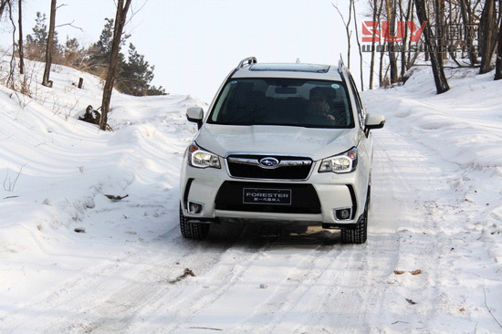 &ldquo;雪之雄獅&rdquo;全新斯巴魯森林人冰雪試駕