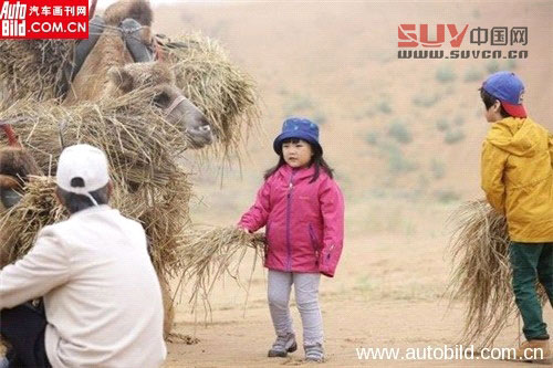 F8ABB32E33967B4954F145DE7456D19A_副本